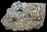 Sphalerite on Quartz and Calcite - Elmwood Mine #66311-1